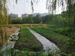 -长兴太湖图影湿地文化园