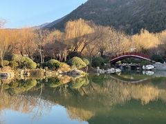 -华清宫景区