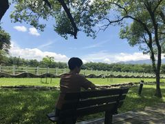 -瑞穗牧场