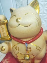 -Cocodemer女性健康·产后恢复(天一广场店)