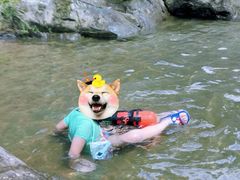 -安吉龙王山峡谷漂流