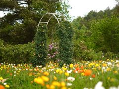 -名花谷生态庄园