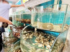 -仙螺岛海鲜自助餐厅(总店)