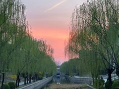 -元大都城垣遗址公园