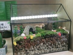 -陶语手工·拼豆·陶艺·银饰diy(宽厚里店)
