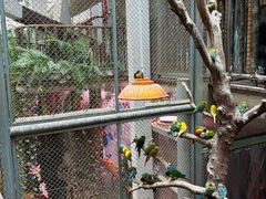 -正佳雨林生态植物园