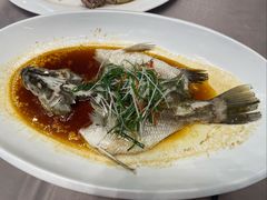-东方御宴海鲜酒楼(棕泉酒店)