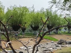 -汉长安城未央宫国家考古遗址公园