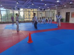 -陈中跆拳道(中关村馆)