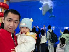 -泉城欧乐堡海洋极地世界