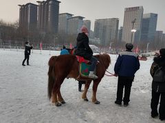 -沈阳奥体冰雪嘉年华