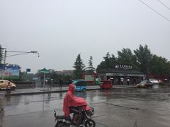 -关林