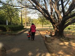 -南国桃园旅游度假区