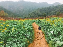 -广州市石门国家森林公园