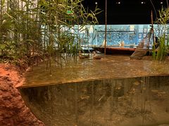 -浙江自然博物院(杭州馆)