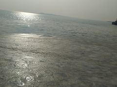 -皮口港