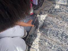 -赵州桥景区