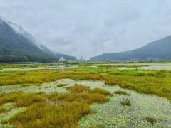 -腾冲北海湿地