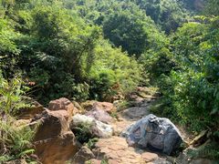 -南海湾森林生态园