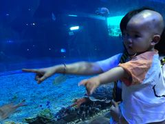 -华夏文旅海洋公园