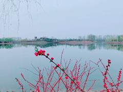 -东郊湿地公园