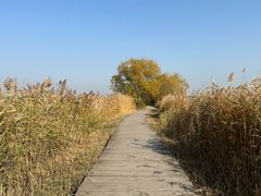 -野鸭湖国家湿地公园