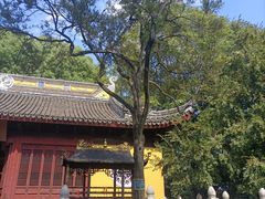 -苏州上方山国家森林公园