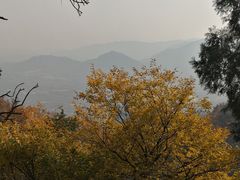 -北京鹫峰国家森林公园