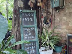 -火炉山森林公园