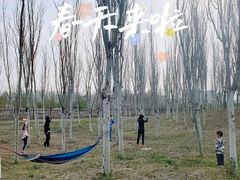 -东郊湿地公园