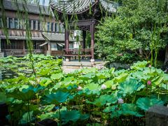 -乌镇望津里精品酒店