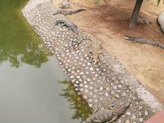 -石家庄市动物园