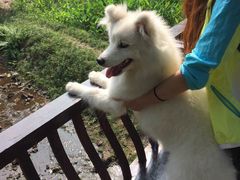 -重庆彩云湖湿地公园