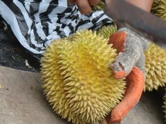 DSC04349-Durian Shop