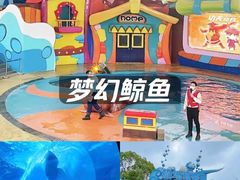 -海合安武汉极地海洋公园