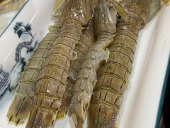 腌皮皮虾-渔娘渔家丹东海鲜(东直门店)