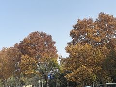 -寻味六朝(中山陵理工大学店)