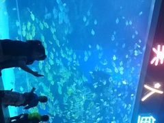 -邯郸海洋世界