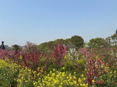 -南汇桃花村