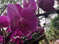 -南通洲际绿博园