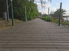 -长白岛森林公园