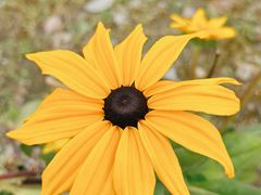 -国际非物质文化遗产博览园