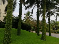 -三亚亚龙湾天域度假酒店