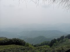 -莫干山风景区