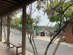 -宁波野生动物园