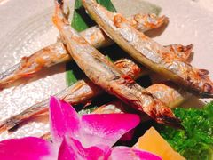 -酒井酱子·深夜食堂(东城汇店)