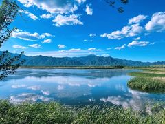 -野鸭湖国家湿地公园