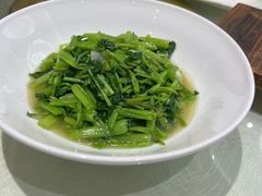-丁老爷子苏香圆