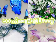 -深圳龙华星河COCO City(民治店)