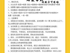 -枫花园汽车电影院(朝阳公园店)